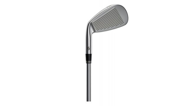 Iron club golf stick image