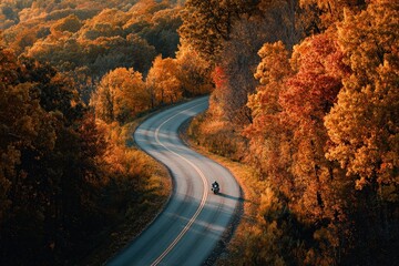 Naklejka premium A winding road through a vibrant autumn forest, showcasing a lone motorcyclist enjoying the scenic landscape.