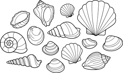 Delightful collection of seashell line art ready for coloring books, educational resources, and fun summer designs, perfect for creative projects and coastal themes