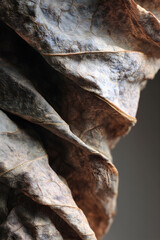 Eternal Whispers: The Beauy of Folds and Creases in ime's Tapestry