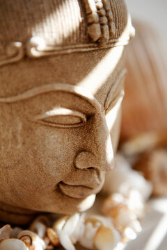 Buddha,kopf,Deko,Muscheln,Interieur