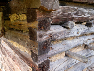 Fototapeta premium Detail corner of an old wooden drying house made from hand-hewn logs, insulated with clay and straw mixture, showing traditional carpentry craftsmanship.