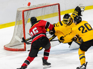 Ice hockey player shoots the puck in the net and scores