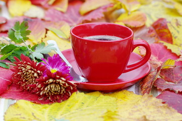 A cup of coffee and chrysanthemums