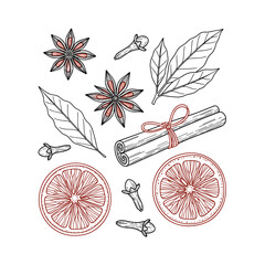 Hand-drawn winter herbs and citrus for mulled wine