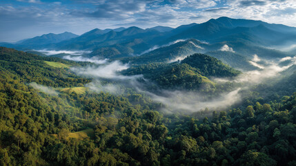 Aerial view of mountain range in Chiang Mai (Doi Inthanon) covered in a thick layer of morning mist