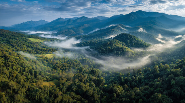 Aerial view of mountain range in Chiang Mai (Doi Inthanon) covered in a thick layer of morning mist - Powered by Adobe
