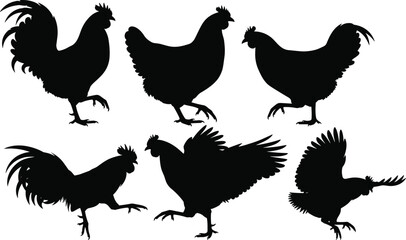 Chicken silhouette, rooster silhouette, hen silhouette, poultry silhouette, farm animal silhouette, bird silhouette, flying chicken, walking chicken, standing chicken, black silhouette, 