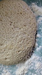 Active sourdough starter or wet bread dough fermenting on a floured kitchen counter, showing a bubbly texture.