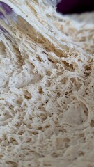 A macro close-up of a high-hydration bread dough being stretched, revealing the intricate, web-like gluten network.