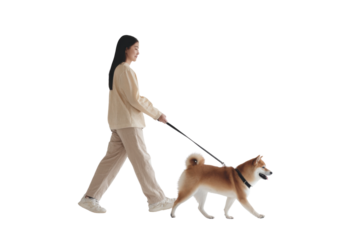 Walking with companion: A serene walk with a companion, the image shows a lady and a dog, where both are walking together. the frame captures their connection and sense of companionship.