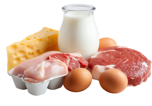 Balanced Nourishment: A visual feast of essential food items, artfully arranged to showcase a variety of food sources. The composition highlights a range of protein-rich options.