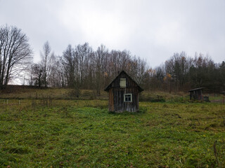 Rustic wooden house surrounded by overgrown field and trees  