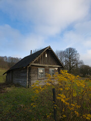 Obraz premium Rustic wooden house surrounded by greenery under a cloudy sky 