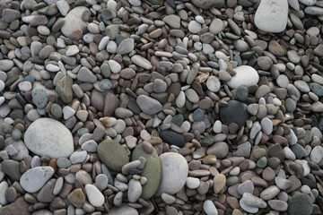 Smooth, Wet Beach Pebbles And Stones Of Various Grey, Brown, And Green Hues Scattered On The Shore In Towyn, North Wales, Uk.