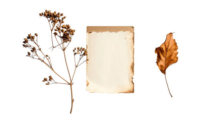 Vintage paper and dried botanical elements evoke autumn nostalgia and creative inspiration for rustic projects