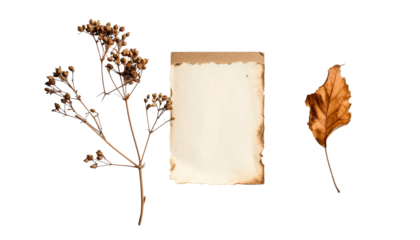 Vintage paper and dried botanical elements evoke autumn nostalgia and creative inspiration for rustic projects