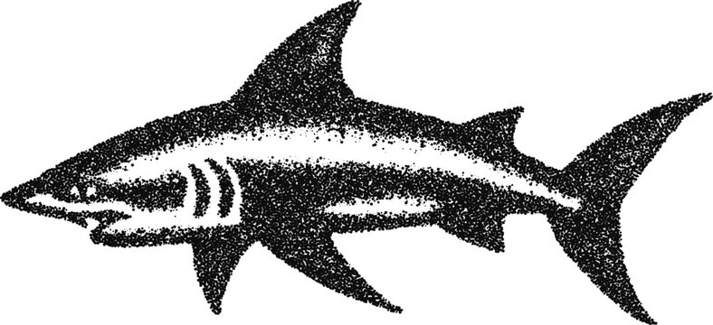 Great white shark side profile with detail stipple engraving vintage vector marine illustration