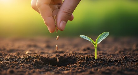 Hand dropping seeds into soil next to a young plant sprout under bright, golden sunlight. Concept of planting, new beginnings, agricultural care, and sustainable farming.