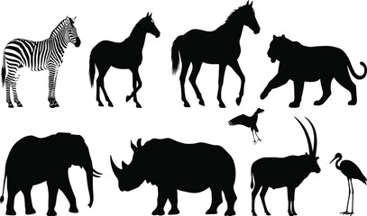 Wild animal silhouettes, zebra, horse, tiger, bird, elephant, rhinoceros, antelope, giraffe, heron, wildlife vector illustration, jungle safari design art
