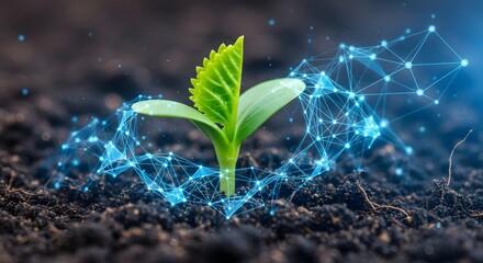Young green plant surrounded by a bright blue glowing digital network connection growing in the dark earth. Concept of modern biotechnology, digital farming, and smart agriculture technology.