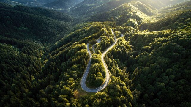 Scenic winding road through lush green hills and mountains during golden hour light in vibrant natural landscape