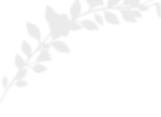 Soft Branch Shadow Overlay