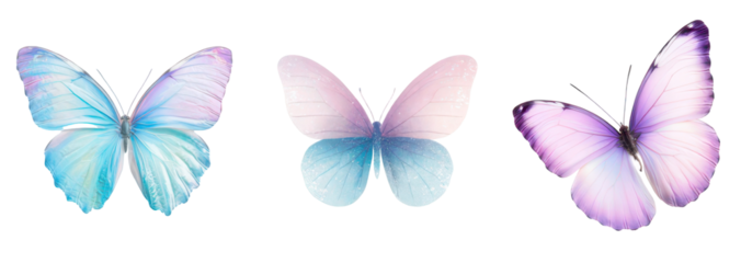 Enchanting Trio: Delicate butterflies take center stage in this ethereal display of nature's beauty, showcasing their exquisite wings in a dance of colors.