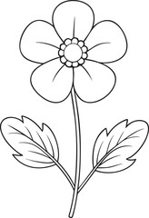 Buttercup flower line art drawing for kids coloring and springtime creative art