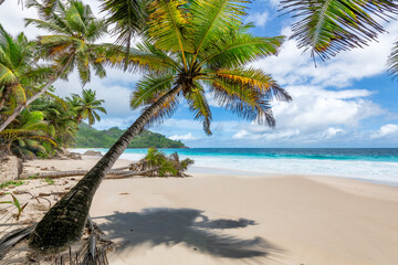 Untouched tropical beach on a tropical island. Summer vacation and tropical beach concept.
