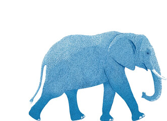Fototapeta premium simple, flat vector illustration of an elephant walking, side view, on a white background. the image is composed of simple shapes made with black lines and blue shading, in the style of a simple child