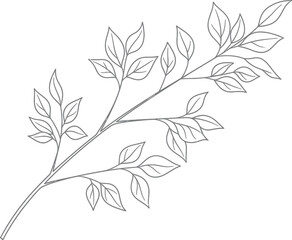 Fototapeta premium Delicate branch with leaves, creating a clean and simple botanical illustration for various design and artistic applications