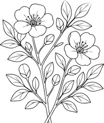Vector illustration of beautiful Quince flower bouquet, hand-drawn coloring book of artistic, blossom flowers Quince isolated on white background, sketch art leaf branch botanic collection adults
