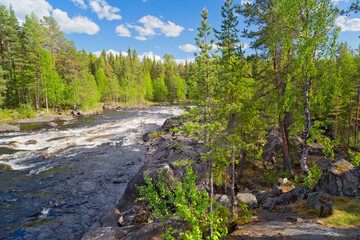 Beautiful wild river near Storuman in Lapland, northern Sweden