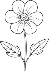 Simple buttercup flower outline drawing for coloring page and springtime design