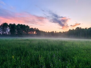 A peaceful summer evening with fog over a rural landscape, a distant forest line, and fog covering the fields. A bright, juicy, green evening summer landscape.