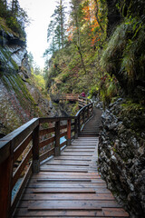 Obraz premium Golden Autumn Colors at Wimbachklamm Gorge, Berchtesgaden Alps