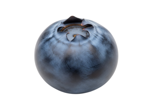 Close up of a single fresh ripe blueberry on black background