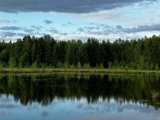 A serene landscape featuring a calm lake surrounded by lush green trees under a cloudy sky. The water reflects the trees and clouds beautifully.