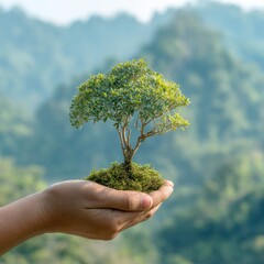 Hand holding a small tree against a blurred mountain backdrop.