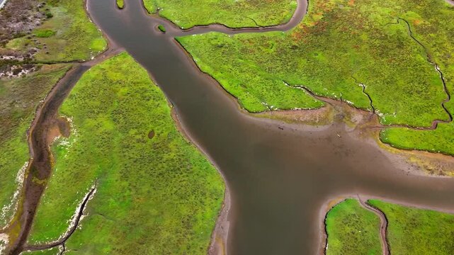 Aerial nature top down geometric patterns in wetlands southern Del Mar San Diego California CA
