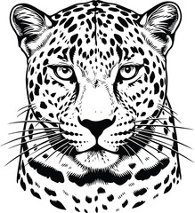 Detailed black and white illustration of a leopard's face