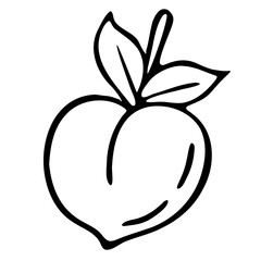 Vector illustration doodle hand drawn peach food fruit whole leaf stem element black liner pen