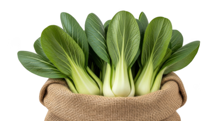 Fresh bok choy vegetables in burlap bag isolated on transparent background