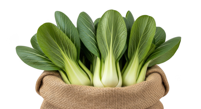 Fresh bok choy vegetables in burlap bag isolated on transparent background