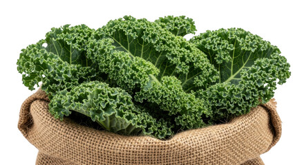 Fresh curly green kale in a burlap sack isolated on transparent background
