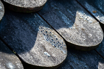 Nahaufnahme von Dachziegeln Biberschwänze