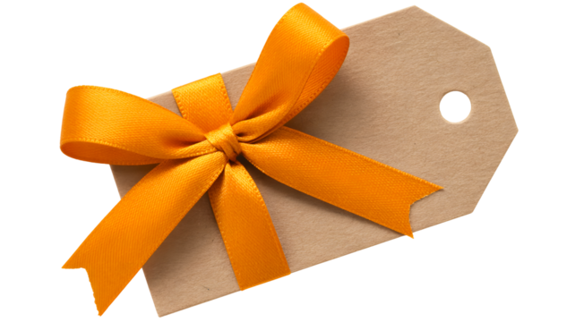 A single blank brown paper gift tag tied with a bright orange satin ribbon bow isolated on transparent background