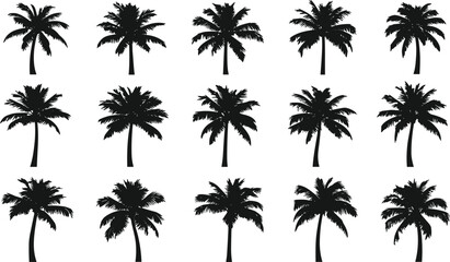 Palm tree silhouettes collection, tropical vector illustration, exotic foliage design elements, black botanical shapes for beach, summer, paradise, island, landscape, nature artwork
