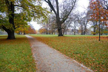 Mit Blättern belegter Spazierweg in einem herbstlichen Park
